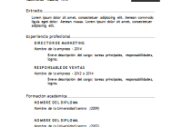 Plantilla de curriculum: Plantilla funcional 8