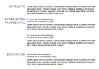 Plantilla de curriculum: plantilla cronológica 9