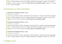 tipo de curriculum