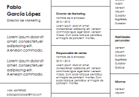 Plantilla de curriculum: Plantilla funcional 6