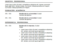 Plantilla de curriculum: plantilla cronológica 5
