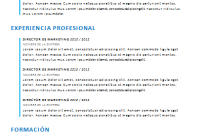 Plantilla de curriculum: Plantilla funcional 5