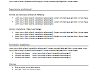 Plantilla de curriculum: Plantilla funcional 7
